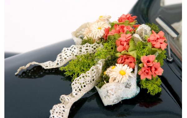 Bild 8 - Just Married - Hochzeit