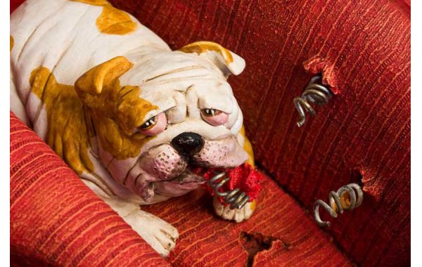 Bild 4 - Fiat 500 littel jewel