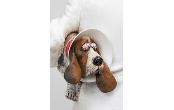 Bild 6 - Tierarzt - the veterinarian