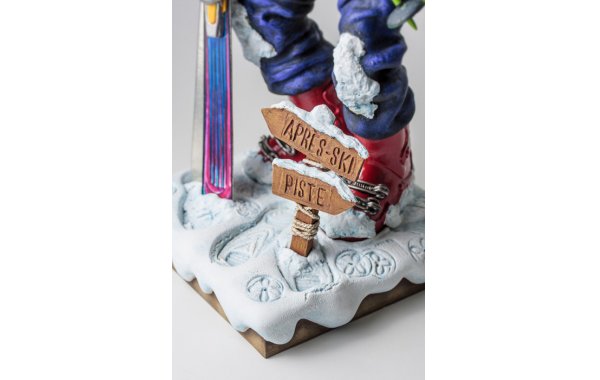 Bild 7 - Skifahrer - the skier