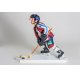 Eishockey Spieler - Ice Hockey Player
