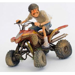Quad Fahrer the quad