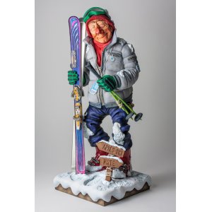 Skifahrer - the skier